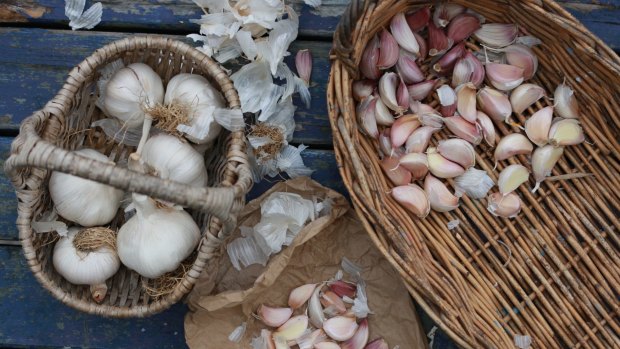 Speculating on garlic prices is luring investors, who think it's a one-way bet.