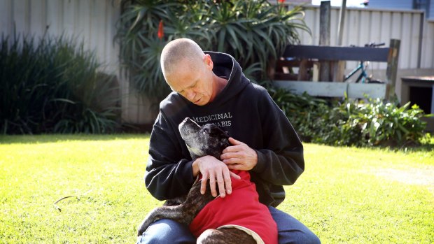 Paul Lawrence with his 15-year-old staffy Ellie who he claims has benefited from a daily dose of cannabis oil. 