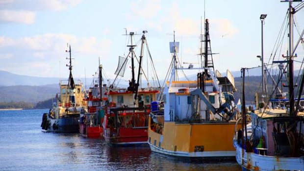 Potter luck ... fishing boats at Eden.