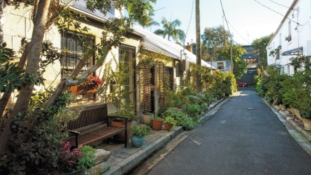 Spirit of place: residents of McElhone Place in Sydney’s Surry Hills have created an urban oasis for themselves.
