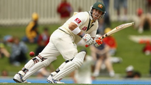 Australian opening Test batsman David Warner.
