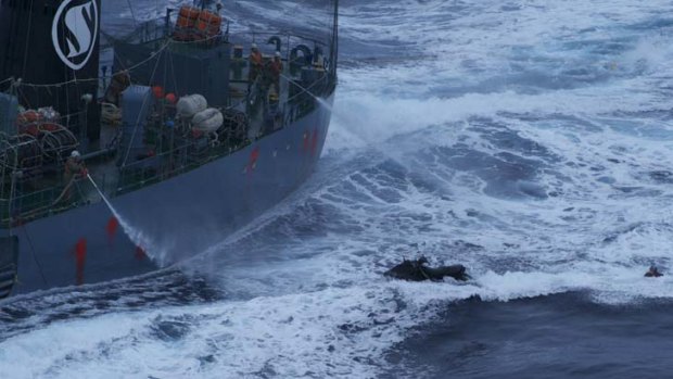 Sea Shepherd activist Beck Straussner in the Southern Ocean after being knocked off his jet-ski by water cannon on the whaling ship Yushin Maru No.2.