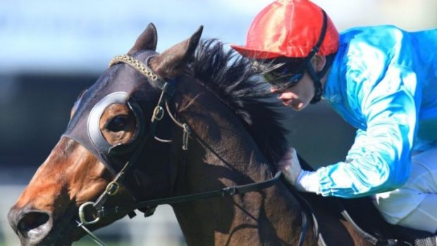 An inquiry will decide if Testarhythm should be disqualified from the Scone race.