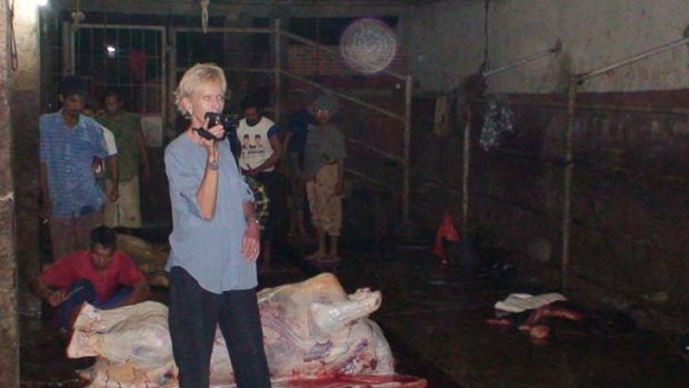 Horrific images ... Lyn White films workers with an animal carcass at an Indonesian abattoir.