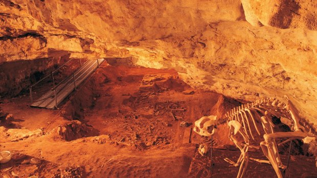 Stretching back to the arrival of humans: Naracoorte Mammal Fossil Sites, South Australia.