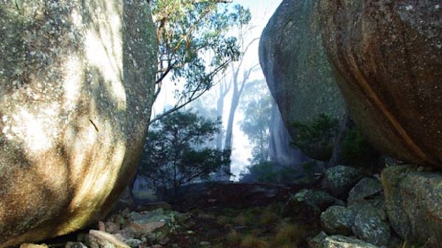 Gone bush ... Anketell Forest rockscape.