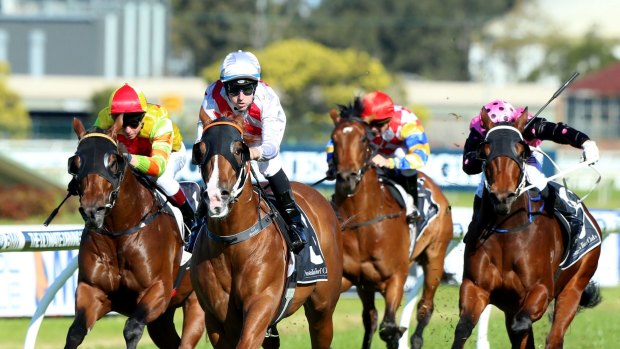 Star on the rise: Star Turn wins the San Domenico Stakes at Rosehill.