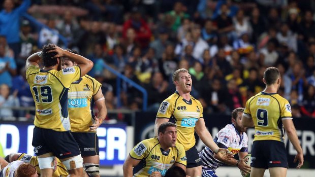 Can the Brumbies make the Super Rugby finals?