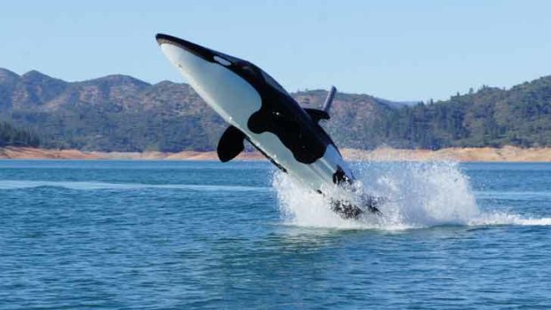 The Seabreacher allows its users to "breach", just like the killer whale it resembles.