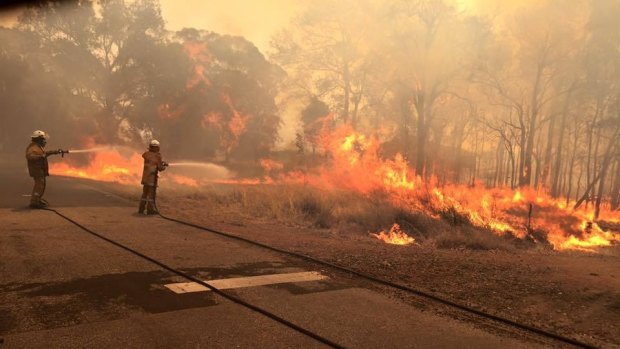 Photo of the fire-front in Waroona and Yarloop last week.