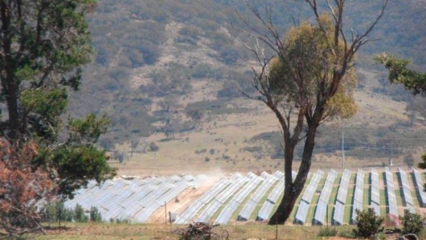 The smaller 20 MW-Royalla Solar Farm in the ACT nears completion.