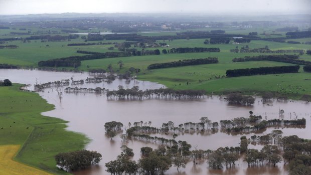 Flooded paddocks along Mt Emu Creek, just south of Terang.