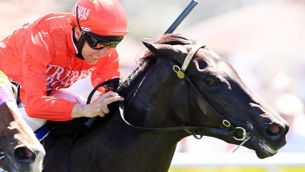 Sidelined: Jockey Kerrin McEvoy could be out for a month with a knee injury.