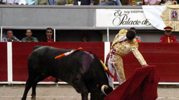 Bull by the horns... Jairo Miguel, 14, in the 2007 bullfight that almost cost him his life.