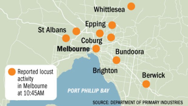 Locust reports in Greater Melbourne.