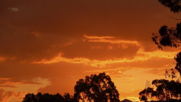 Canberra Times readers Summer photocomp (2015)- Vicki Munslow - Golden Brindabella sunset.