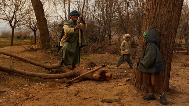 Daily life: Shadi, left, chops wood with his sons Khatai, centre and Wari, in Sakhar village, in the Charchino district of Uruzgan province.