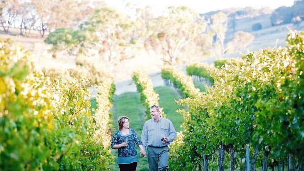 Food and drink haven: A couple stroll through the Mayfield vineyard in Orange, NSW.