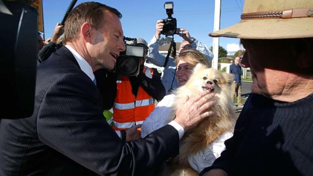 Pollie meets Pom: Tony Abbott encounters Boo, a non-voting resident of Devonport.