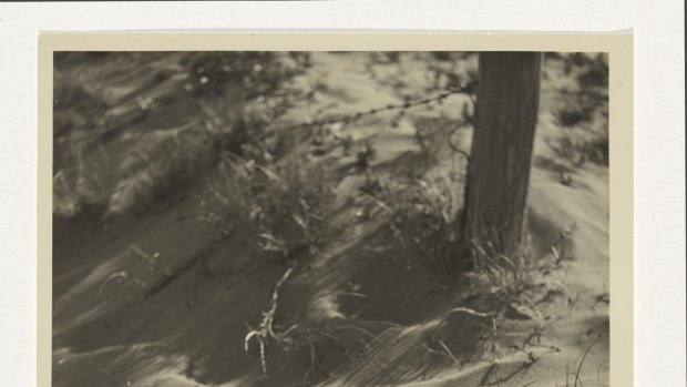 Untitled (sand and spinifex), by Olive Cotton, c.1935
gelatin silver photograph
National Gallery of Australia, Canberra
 Purchased 2012