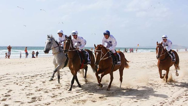 Horses run on the beach at Surfers Paradise during the 2014 Jeep Magic Millions barrier draw.