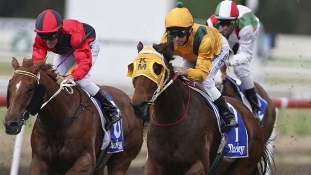 Honest &#8230; Glyn Schofield and All Legal, right, winning at Hawkesbury last month. They contest the $100,000 Festival Stakes (1500 metres) at Rosehill on Saturday.