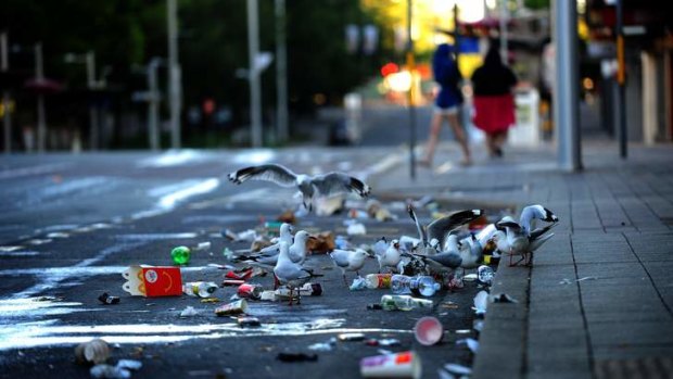 Cleaning crews are expected to collect about 500kg of post-party waste on New Year's Day.