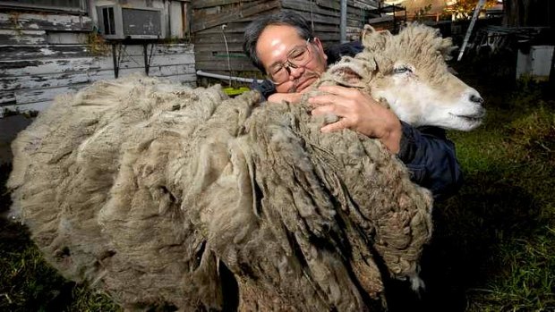 Vu Ho with Baa the sheep at their home in Springvale.