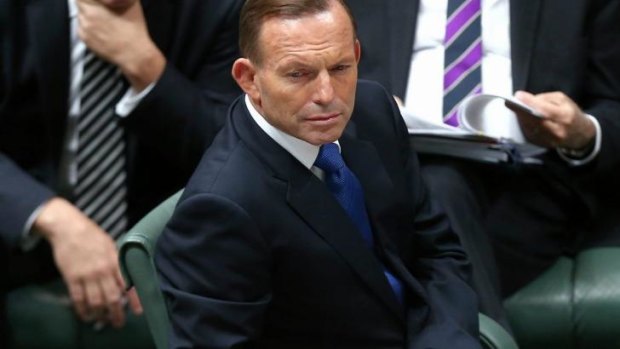 Prime Minister Tony Abbott has been quick to say that no decision has been made on Australian air strikes. 