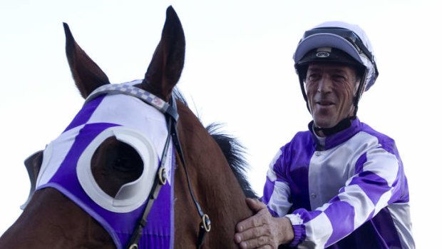 Mighty comeback: Peter Robl and Rain Drum return to scale at Rosehill on Saturday.