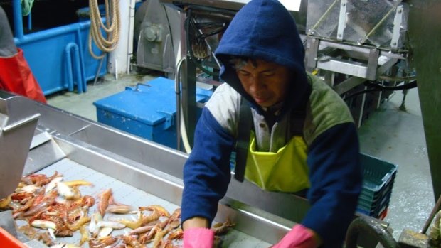 The Exmouth Gulf prawn fishery in Western Australia, which received Marine Stewardship Council certification for environmental sustainability in 2015.