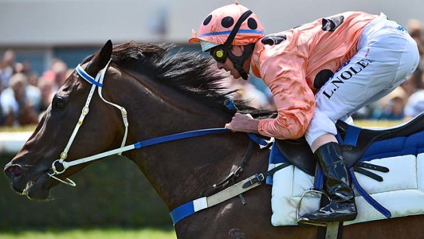 "You’re dreaming to think you can beat that mare the way she’s going" ... Glen Boss on Black Caviar.