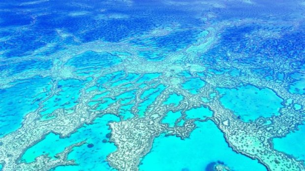 Hardy Reef, Great Barrier Reef.