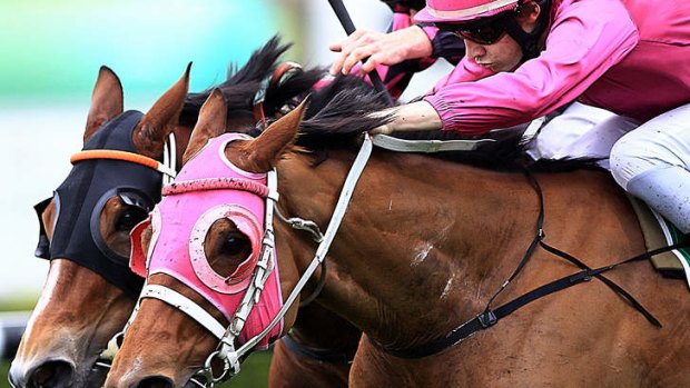 Clean cut: She's Clean swoops down the outside to grab Neeson and win the listed June Stakes at Randwick on Saturday.