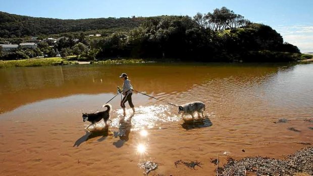 Jennifer Mann and her dogs Bella and Khan walk on Stanwell Park Beach, south of Sydney.