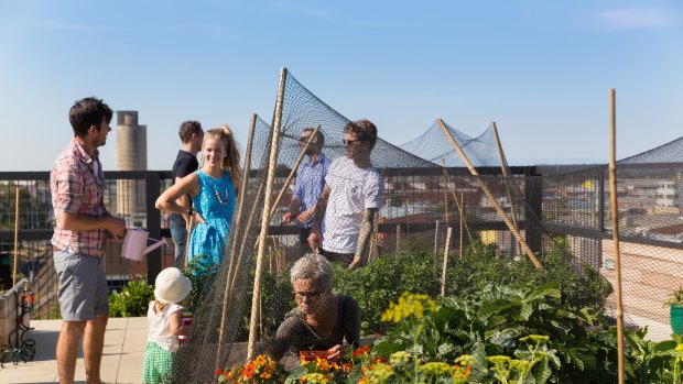 The Commons' rooftop features vegetable patches for each resident and a communal beehive.
