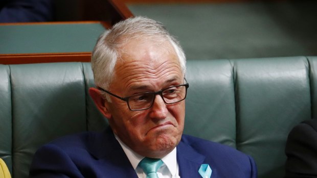 "Cult" of executive pay: Malcolm Turnbull in Parliament on Wednesday.