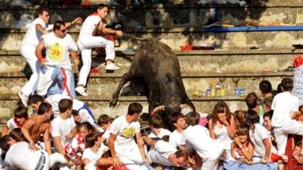 A bull leaps out of the arena into the crowd at a bullring in Tafalla near Pamplona.