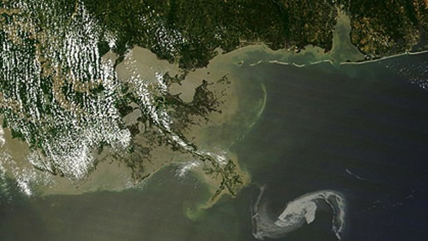 This satellite photo, taken on Thursday, shows the oil slick in the Gulf of Mexico as it moves towards Louisiana's fragile islands and barrier marshes, threatening migrating birds, nesting pelicans, river otters and mink.