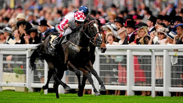 Sole Power (Johnny Murtagh) wins the King's Stand Stakes on day one of the Royal Ascot carnival at Ascot Racecourse in England. Australian hope Shamexpress finished a distant ninth.