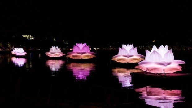 Floating lotus flowers on the Yarra River at the White Night Festival, Melbourne, which has won government backing for 2016.