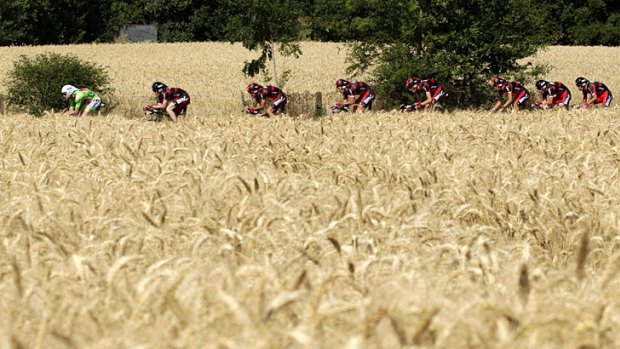 Making hay ... Cadel Evans leads his teammates through wheatfields in Sunday's time trial.