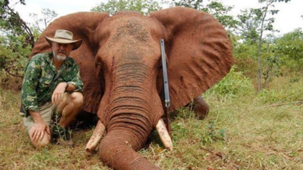 Robert Borsak, on safari in Africa pictured with one of the bull elephants he had killed, and his boast: "It was awesome."