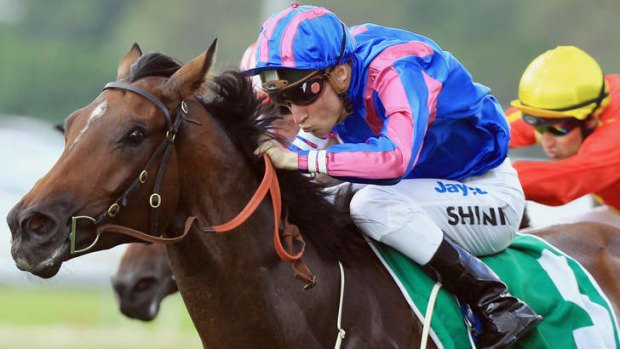 Leading chance: Blake Shinn and Toydini, the marginal favourite for the Epsom.