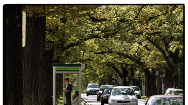 Royal Parade has been Melbourne's traditional northern exit since it was a stock route in the mid-1800s.