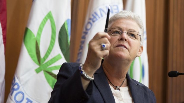 Former EPA administrator Gina McCarthy signed off on a plan to cut carbon dioxide emissions from power plants by 30 per cent by 2030.