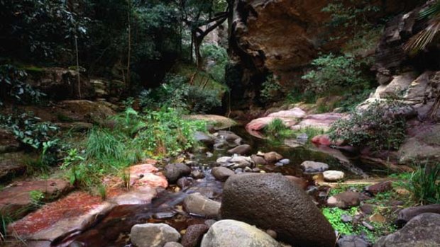 Australian wonder ... Carnarvon Gorge.