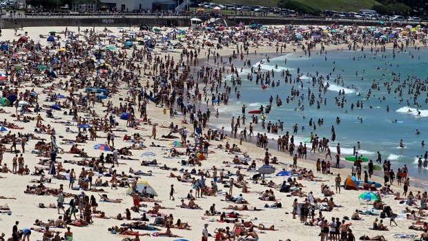 Jumping for joy: Sydneysiders will be able to enjoy the warmest November week in nearly 50 years.