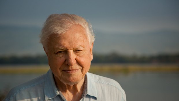 Presenter Sir David Attenbourgh  has been making natural history films since 1954.