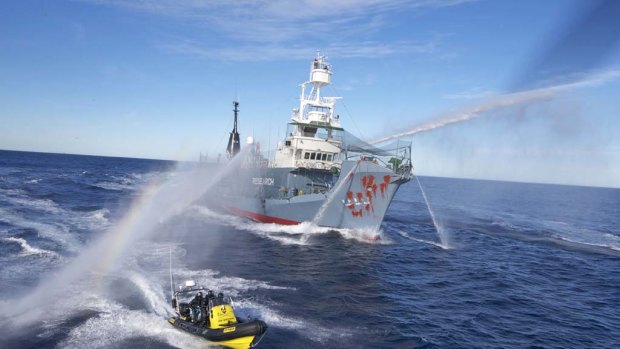 The Japanese harpoon ship Yushin Maru No.3, its bow splashed with red paint by Sea Shepherd activists, fends them off with water cannon.